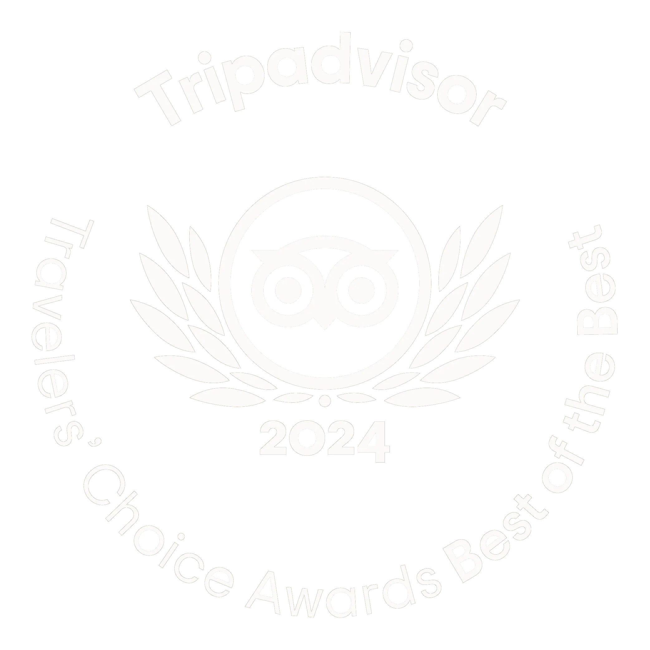 TA-award-2024