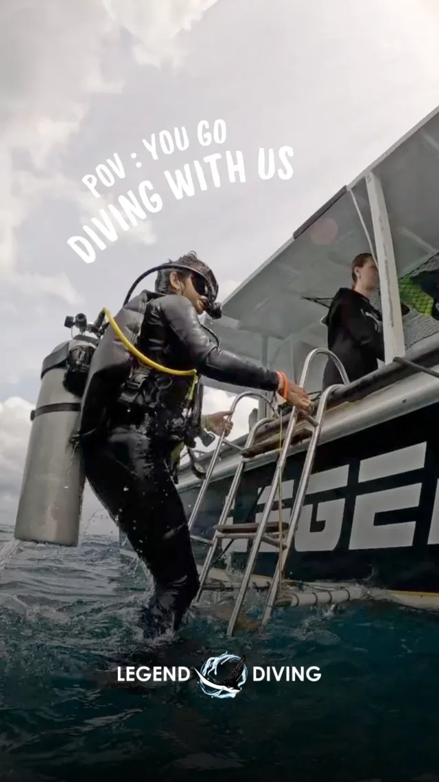 This could be your next dive trip! stop watching, start booking your dive with us!! 🌊🪸#divecenter #divewithmanta #divewithmantarays #divebali #scubabali #scubadivingbali #scubadivingindonesia #bali #nusapenida #nusapenidaisland #nusapenidatrip #divecenterbali #balidivecenter