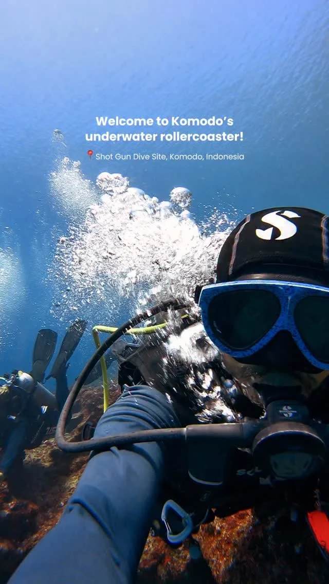 Experience one of Komodo’s most iconic dives — Shot Gun Dive site! 🌊💨
.
#divingkomodo #komodoshotgun #komodonationalpark #scubadivingkomodo #komodoisland